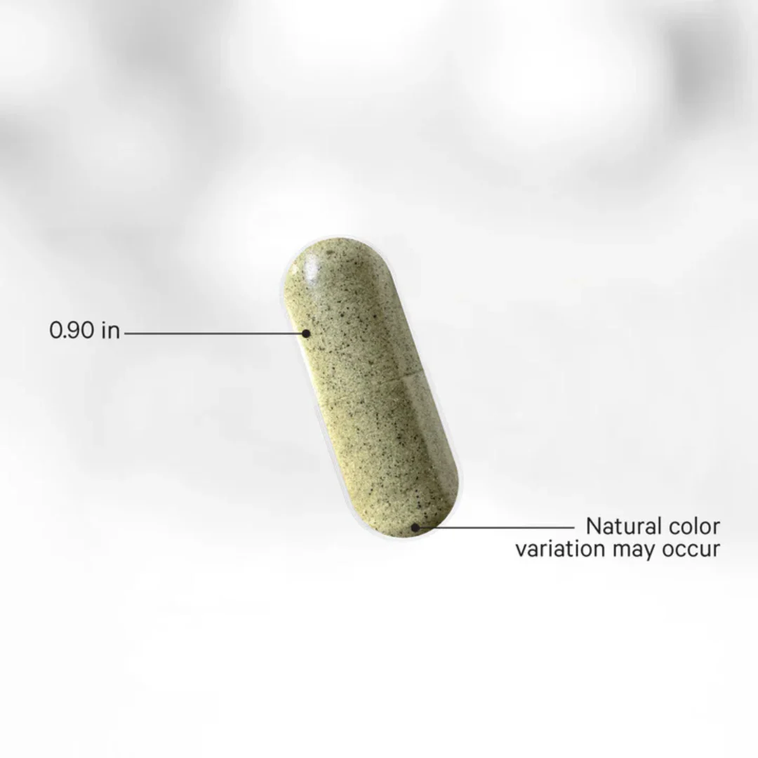 Wildcrafted Sea Moss - Image 3