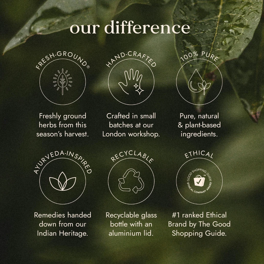 Nootropic Blend - Image 4