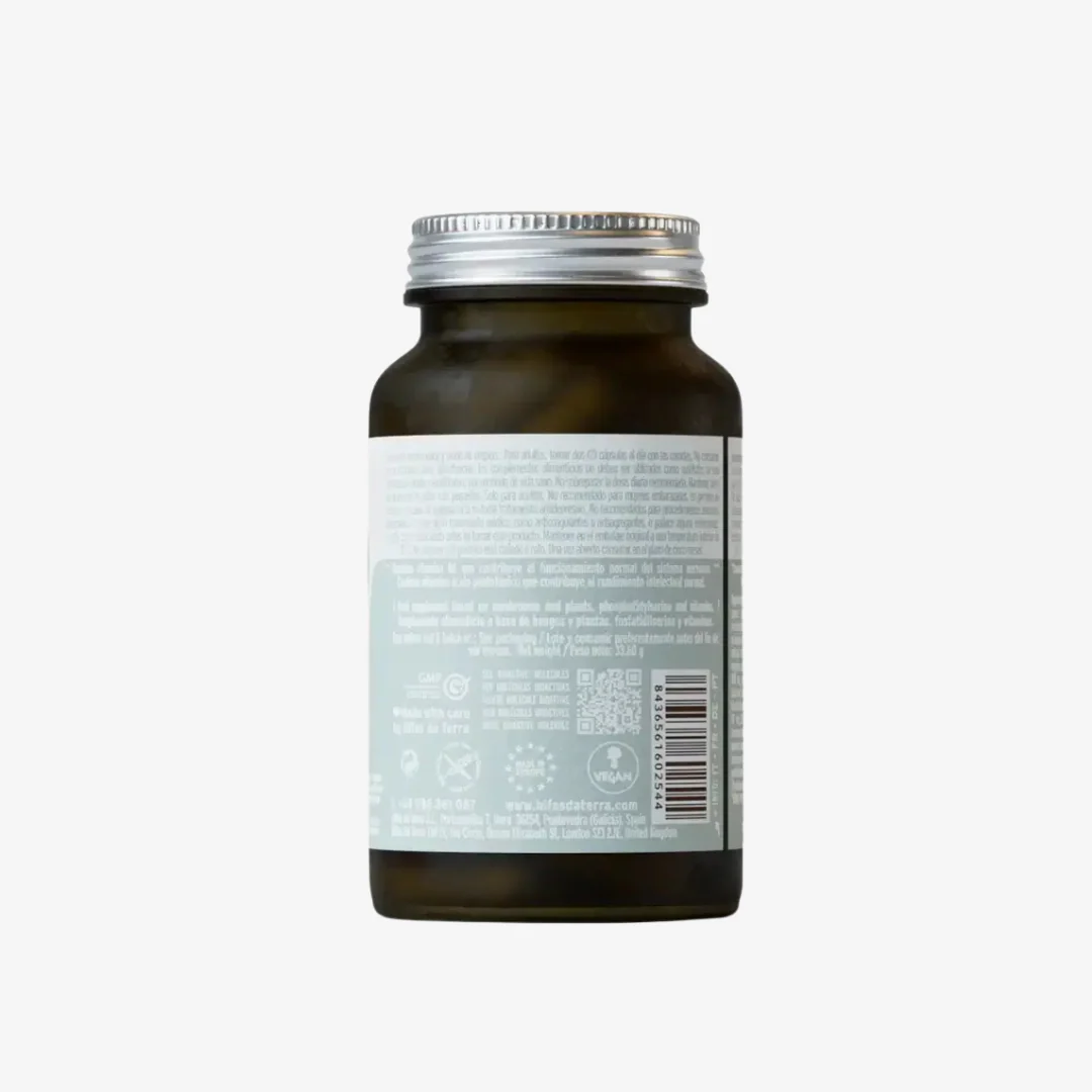 HIFAS-Neuro - Image 2