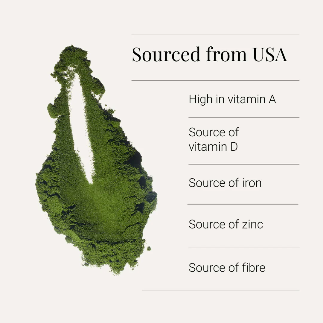 Organic Wheatgrass Juice - Powder - Image 2