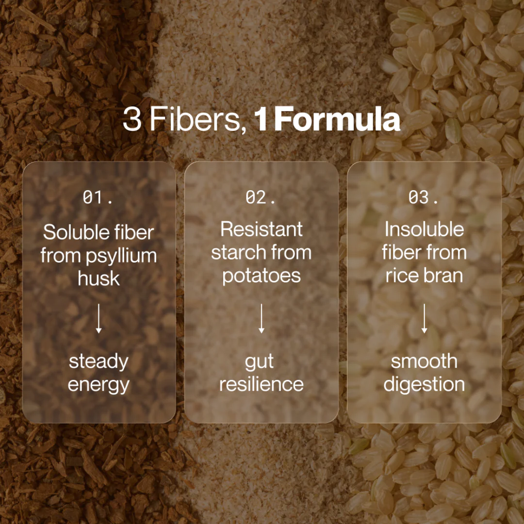 Fiber+ Pure Cinnamon - Image 2