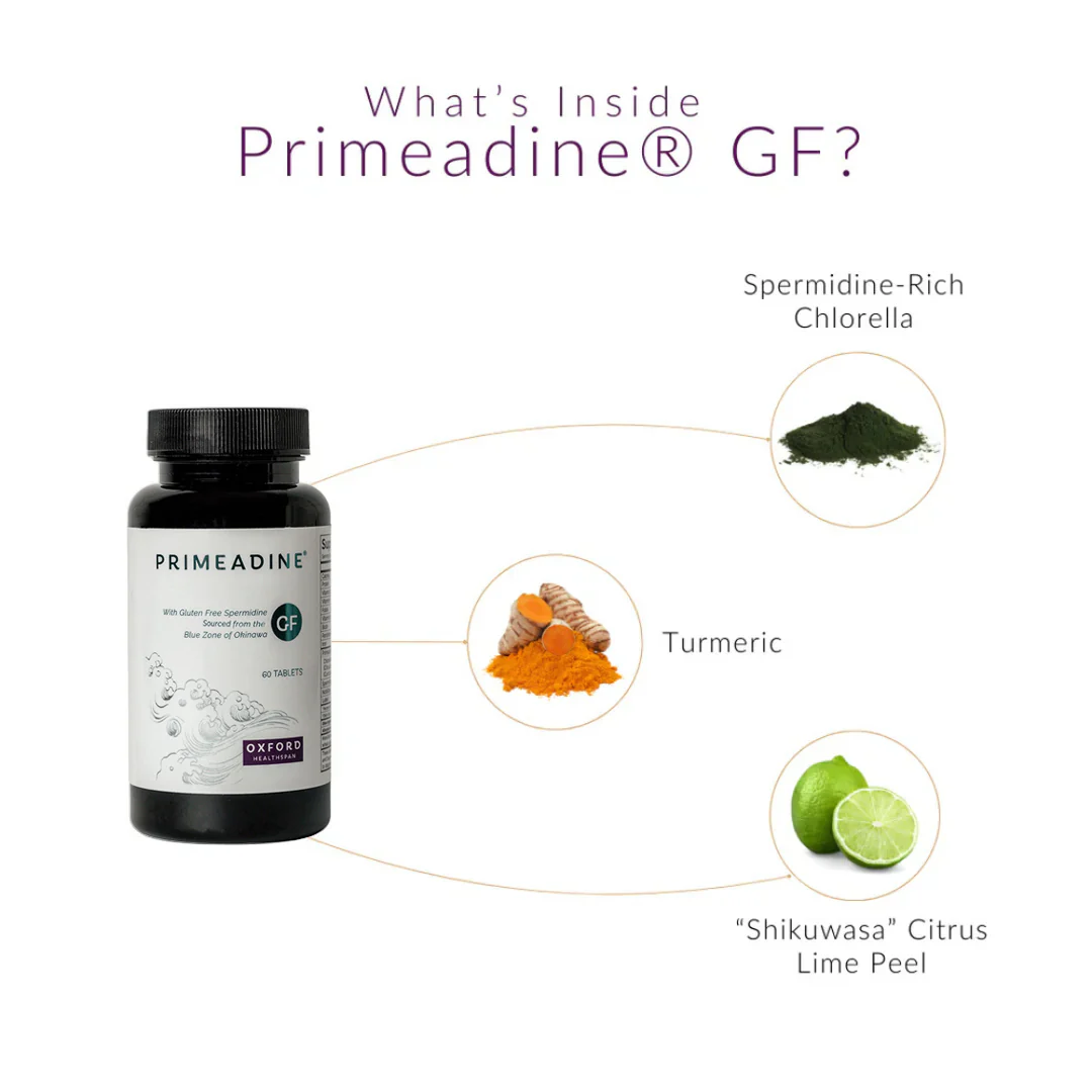 Primeadine® GF Gluten-Free Spermidine - Image 3