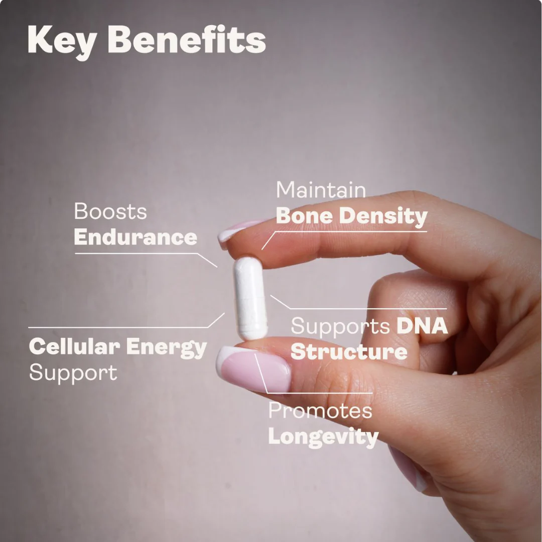 Calcium Alpha Keto-Glutarate (AKG) 500mg Capsules - Image 2